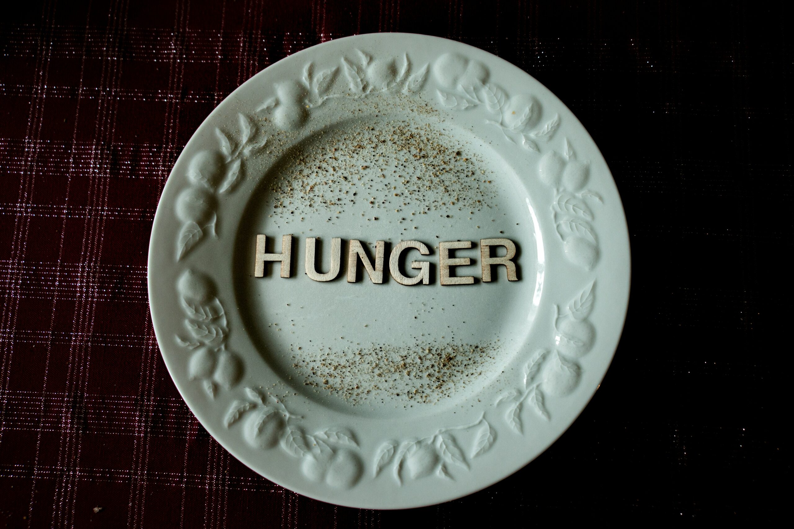 Assiette blanche presque vide avec le mot « HUNGER » au centre, symbolisant la faim physique et le manque.